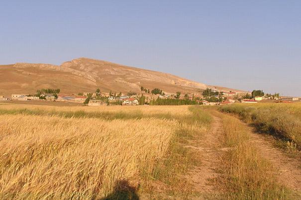 D:\belgeler\burak\P7178917.jpg