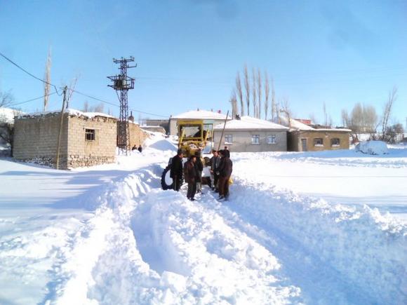 http://s.azbuz.com/uploads/p/124/1/713/1241713/11494770.jpg